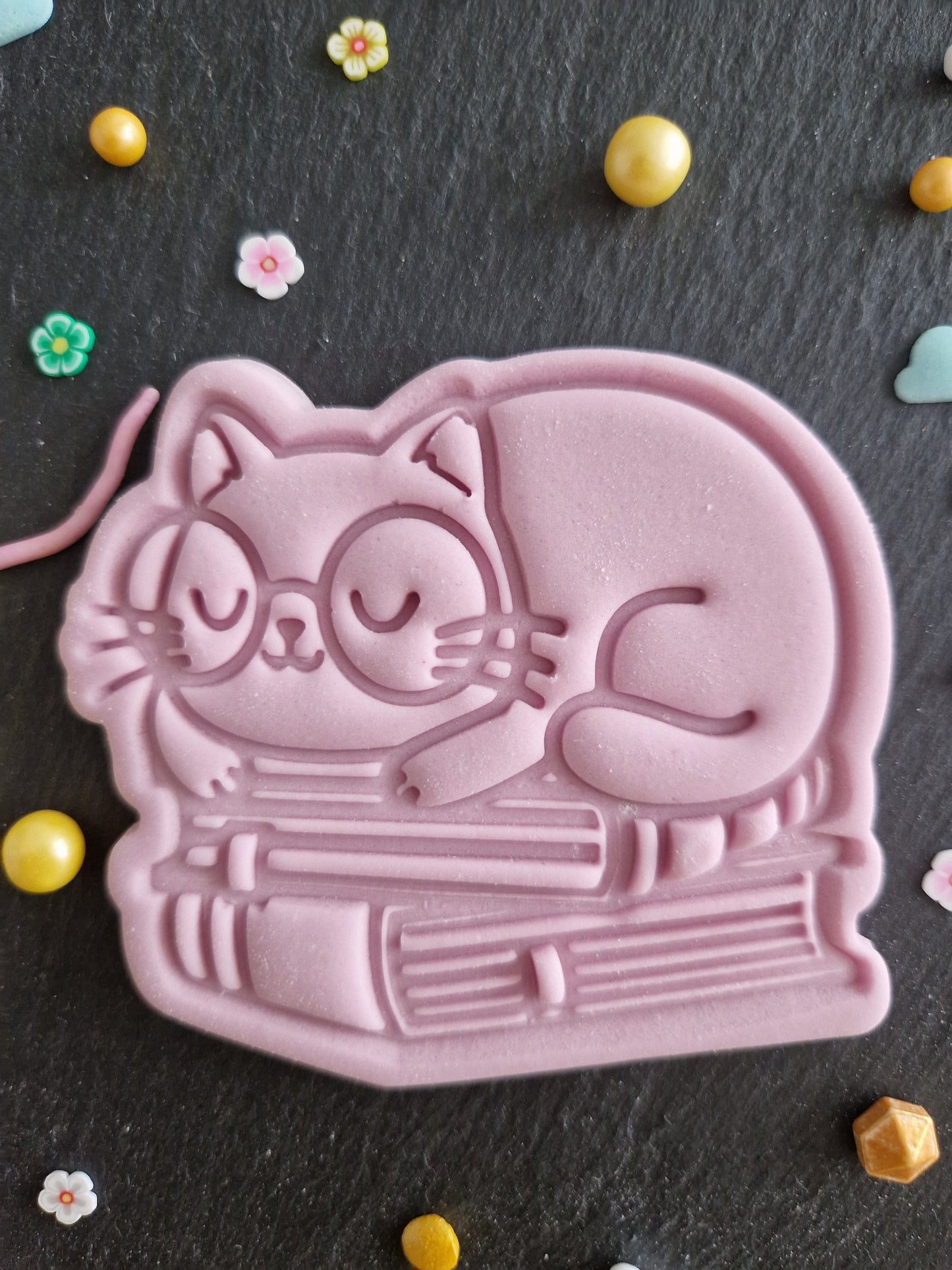 Cute Cat Sleeping on Books Cookie Cutter